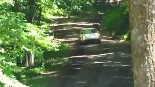 STPR 2015 SS9 - Car #151 William Petrow / Raphael Orlove