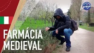 A vida medieval toscana em Siena | ITALIA