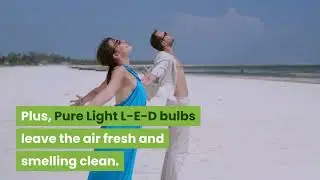 get pure clean air with pure light