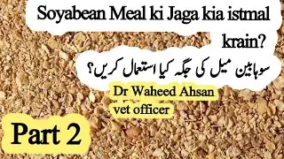 SBM ki jaga kia dain ? Part 2