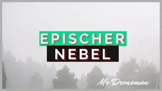 Epischer Nebel | Cinematic Drone | 4K | UltraHD | Mr. Droneman
