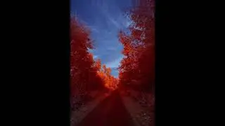 Petit Biscuit Type Beat - 