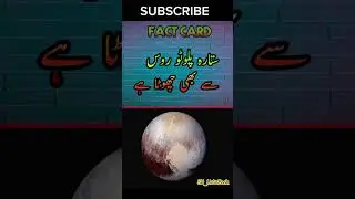 Real Fact #shortsfeed #youtubeshorts #facts #factsinurdu #factshorts #viral
