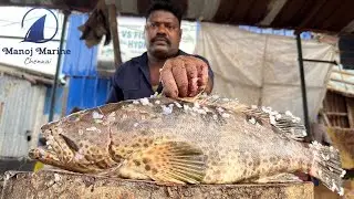 Amazing Cutting Skills | Fish Cutting Skills| #KasimeduSelvam #kasimedu #FISHCUTTING #SKILL
