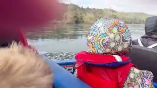 Jet boat nz 