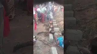 Pongal celebration my village 