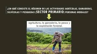 RÉGIMEN DE ACTIVIDADES AGRÍCOLAS, GANADERAS, SILVÍCOLAS Y PESQUERAS (personas morales)