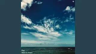 Summer Playground