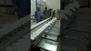 Automatic weighing scale/check weigher for food processing with conveyor