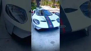Bulldog Finds a Ford GT Supercar-Amazing Discovery!🏎️ #bulldog #fordgt #supercar #car
