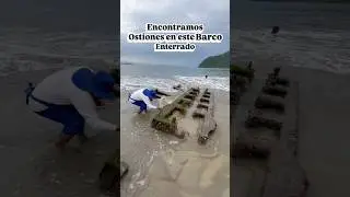 #ostiones #playa #manzanillo #seafood #beach #comida #oysters #barco #mariscos #viralvideo #fyp