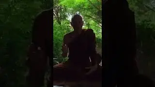 WHAT is GREED, HATRED & DELUSION see FULL VIDEO & SUBSCRIBE HERE