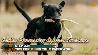 Online Processing Tutorial Video: Step 2.0 Tips for Filing Your Paperwork
