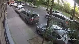 Security Footage Shows Police Officer Throwing Cooler at Man's Head