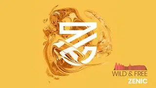 Zenic - Flow