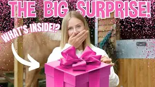 МОЙ БОЛЬШОЙ СЮРПРИЗ... РАСКРЫТ!!!