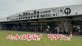 【ワタワン岸和田】ペット連れに嬉しい滞在型エンターテインメントモール!!