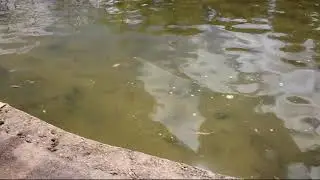 Tether boat pond in South Australia