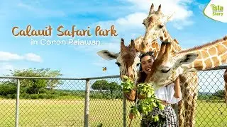 CORON: The Wild Side of Calauit Safari