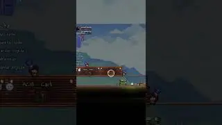 This SHOULD NOT appear in the video 💀| Terraria Calamity #shorts  #gameplay #terrariamods  #calamity