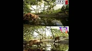 RDR 2 Vs GTA 6, Which one is more realistic?