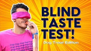 We Blind-Tasted Some Dog Treats!