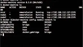 Docker Multi Host Networking with etcd Backend