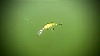Gear for Summer Walleye Fishing