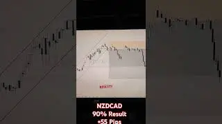 #NZDCAD