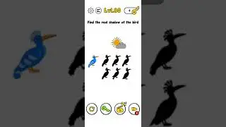 Trick Me Level 80-81 Gameplay Solution Walkthrough