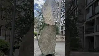 Incredible Stone#amazing m#shorts#stone#nature