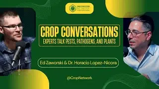 Foliar Nematodes: A Global and Colombian Perspective