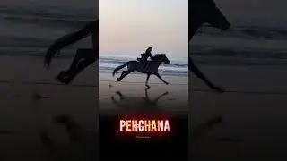 महाराजा ! Maharaja song status video!Udit Narayan!#shorts #viral