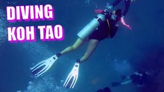 Scuba Diving in Koh Tao Thailand