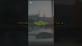 Терпи душа моя #рек #мотивация #рекомендации #субханаллах