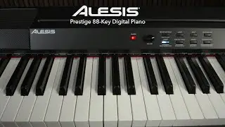 Alesis Prestige 88-Key Digital Piano Sound demo | Gear4music