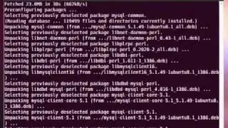 How to Install LAMP Server (Linux Ubuntu, Apache, MySQL, PHP)