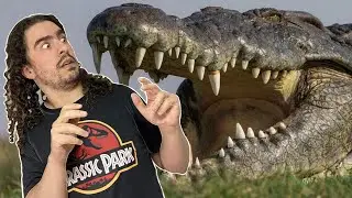 A Hist&oacute;ria da Evolu&ccedil;&atilde;o dos CROCODYLIA (crocodilos) (#Pirula 352.2)