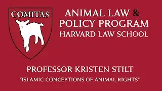 2/24/20 - Professor Kristen Stilt 