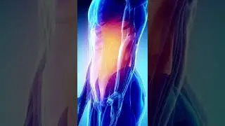 Se&ntilde;ales silenciosas del estr&eacute;s que tu cuerpo ya muestra