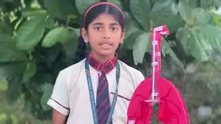  Organ System of the Human Body &ndash; Activity by grade 6th