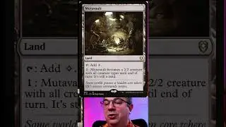 BEST COMMANDER CARDS TO BUY IN JANUARY 26TH