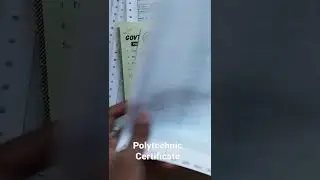 All Certificate after passing Diploma