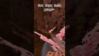 Two days into gtag #summergorillatag #gorillatagfun #vr #gorillatag #gorilla #gtag #gorillatagvr