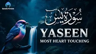 YASEEN MOST HEART TOUCHING QURAN RECITATION TO BOOST FAITH AND INNER PEACE | سُورَةُ يٰسٓ