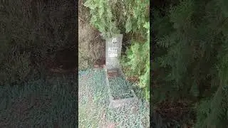 ПОИСК В ГУДЕРМЕСЕ  29.10.23