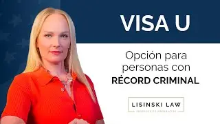 ¿Cómo es el proceso de aplicación para la Visa U?