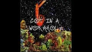 Mad Conductor - COT IN A WORMHOLE - Lyric Video