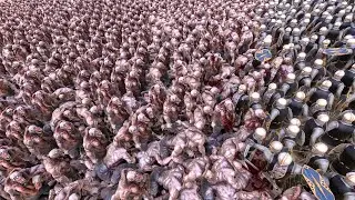 11 000 Gondiis VS 12 000 Dwarf Swordsmans - Ultimate Epic Battle Simulator 2 - UEBS 2 - Uebs 2022