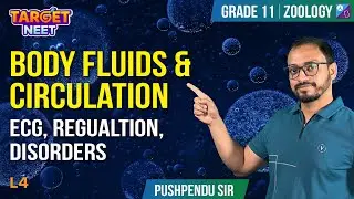 Body Fluids and Circulation |   ECG, Regualtion, Disorders| L4 | NCERT | NEET 2024 | Pushpendu Sir